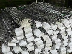 一.筛.滤网系列，过滤芯